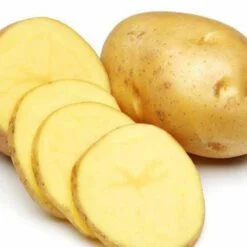 Khoai tây nhập khẩu