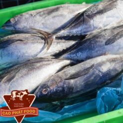 bán cá ngừ bò food tại tphcm    