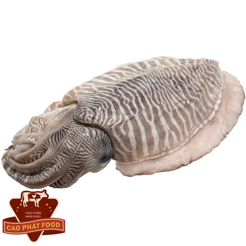 mực nang tươi sống