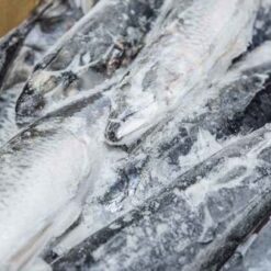 cá sapa đông lạnh