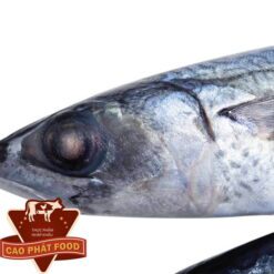 cá hồi sapa giá bao nhiêu