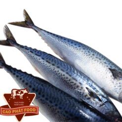 cá hồi sapa giá rẻ