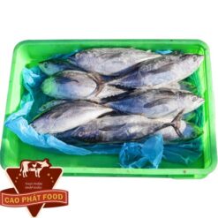 bán cá ngừ bò ngon tại tphcm