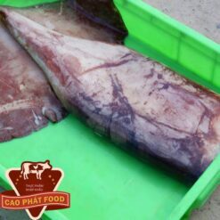 bán mực xà đại dương tại tphcm