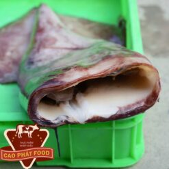 mực xà tại tphcm