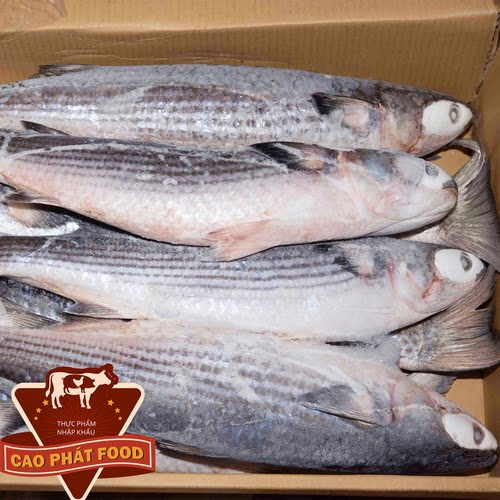 cá đối đông lạnh