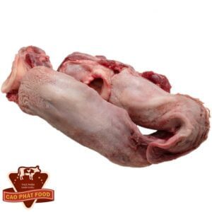 lưỡi lợn nhập khẩu