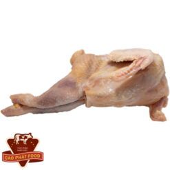 cung cấp thịt gà đông lạnh