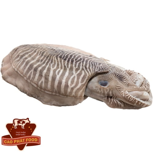 cung cấp mực nang