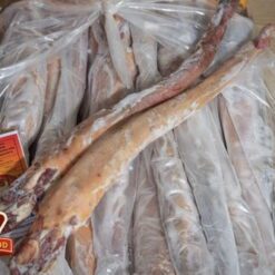 đuôi trâu nhập khẩu