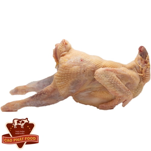 thịt gà dai nhập khẩu