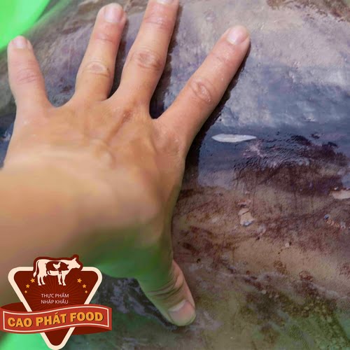 giá bán mực xà tphcm