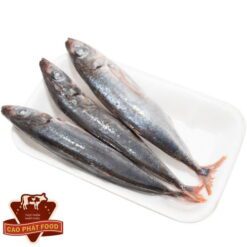 cá nục suôn là gì