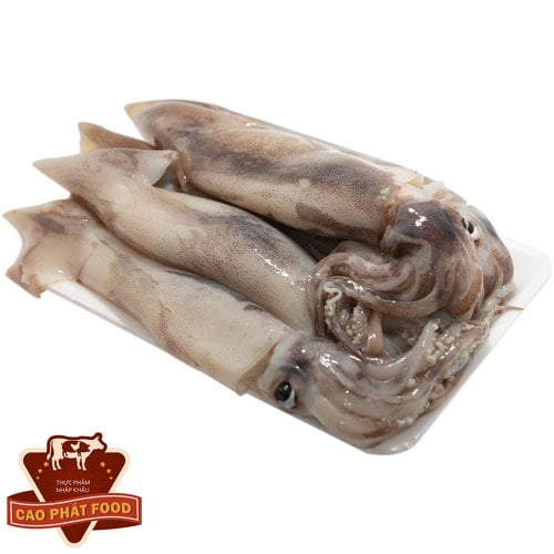 bảng giá mực tươi