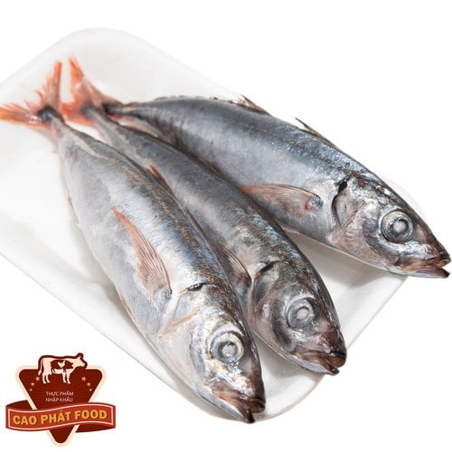 chợ hải sản đông lạnh