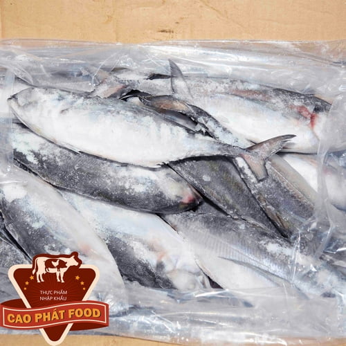 nhà cung cấp cá đông lạnh