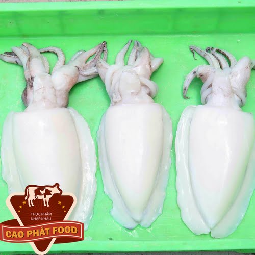 chế biến mực tươi