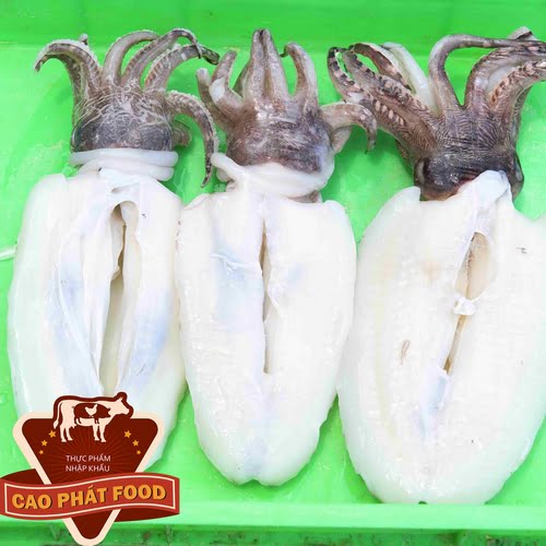 bảng giá mực tươi
