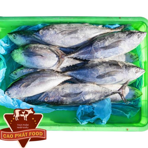 cung cấp cá đông lạnh miền tây