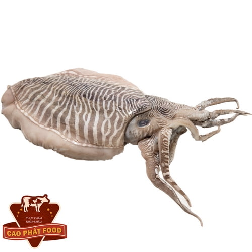 các món về mực tươi