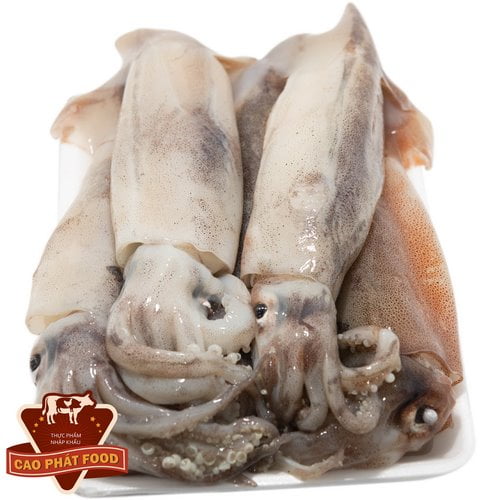 hải sản đông lạnh hà nội