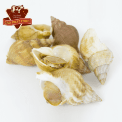 ỐC BULOT PHÁP CAO PHÁT FOOD