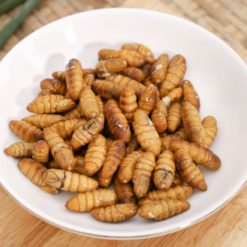 Nhộng Tằm ( nguyên thùng 10kg ) tiết kiệm 10.000đ/kg